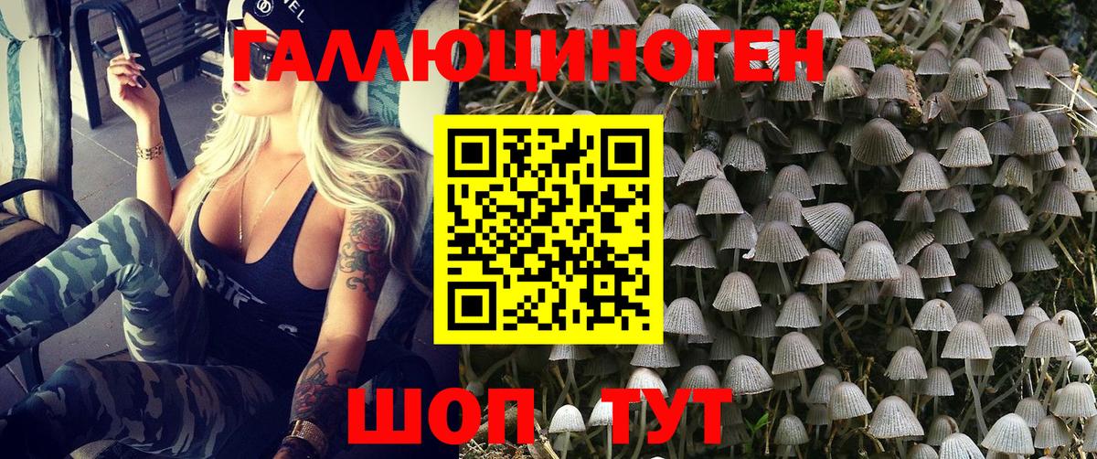Губкин  Псилоцибиновые грибы Magic Shrooms  Вход с VPN 