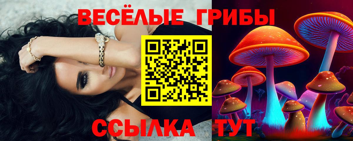 Галлюциногенные грибы Psilocybine cubensis Губкин